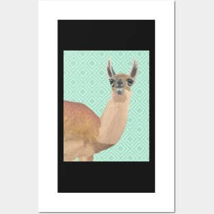 Llama Against Green Diamonds Background Posters and Art